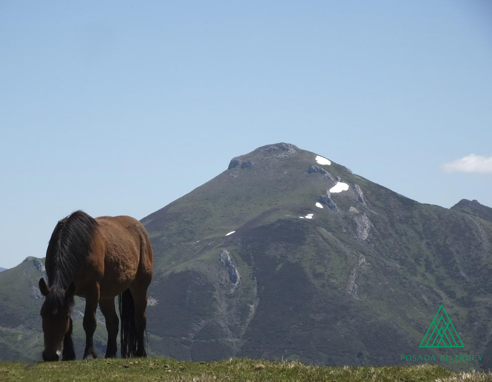 Posada Rural Bistruey Потес Стая снимка